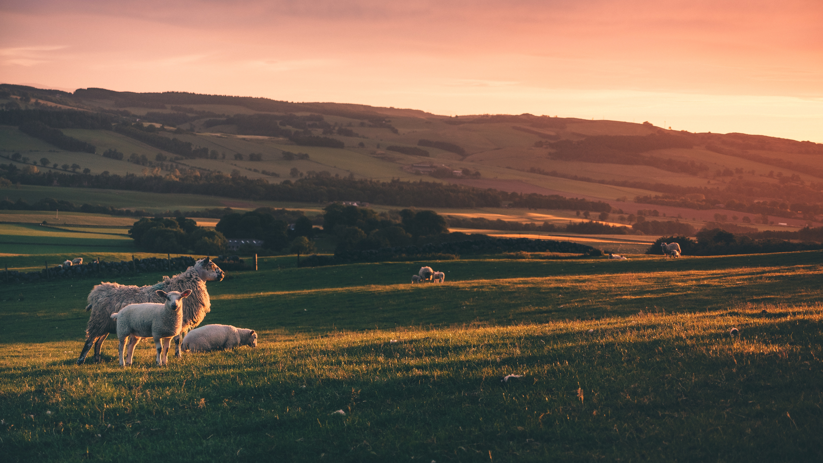 Digestible Functional Keratin™ and Why You Need It